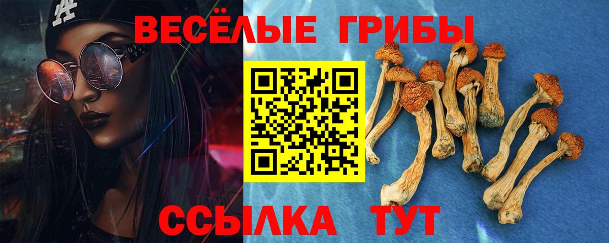 Псилоцибиновые грибы Psilocybe Гусев