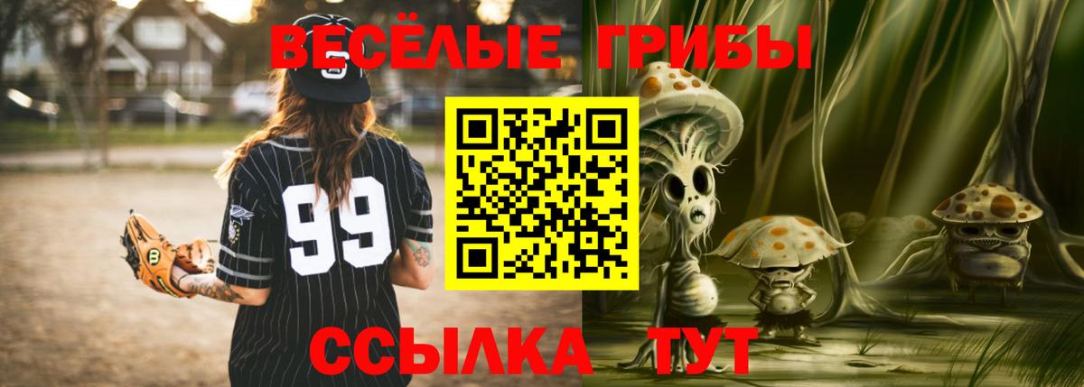 Галлюциногенные грибы Magic Shrooms  Вход с VPN  Галлюциногенные грибы MAGIC MUSHROOMS  Гусев 